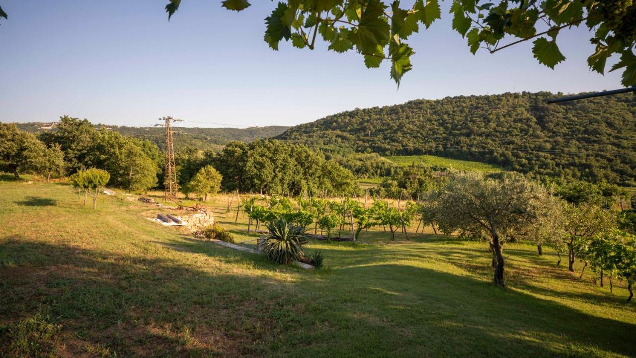 Apartma Belveder Izola Esterno foto