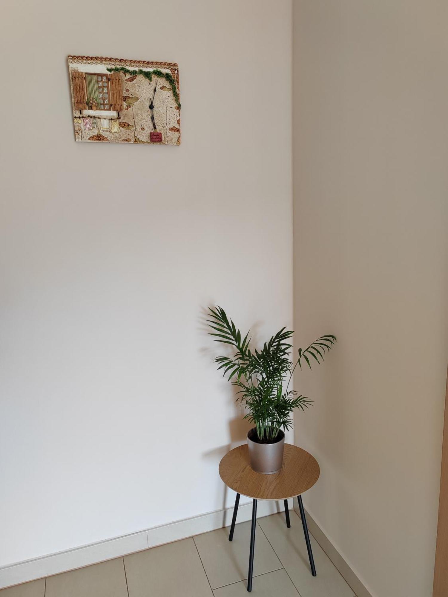 Apartma Belveder Izola Esterno foto
